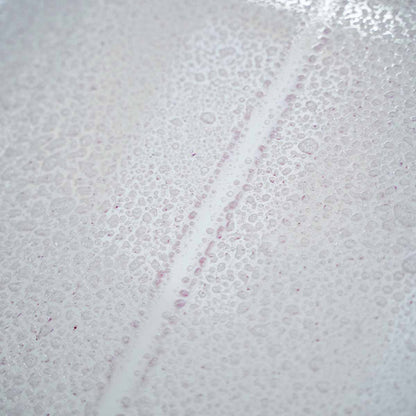 Labocosmetica SIDERO